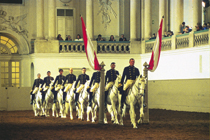 Spanish Riding School - Österreich Werbung / Graf